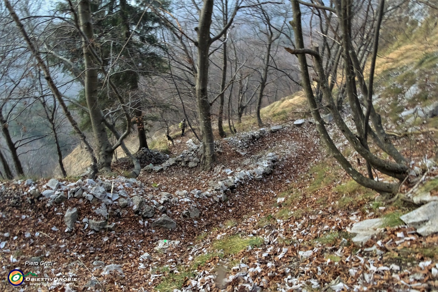 93 Sul sent. 223 dalla Baita Alta scendiamo nel  bosco al punto di partenza.JPG